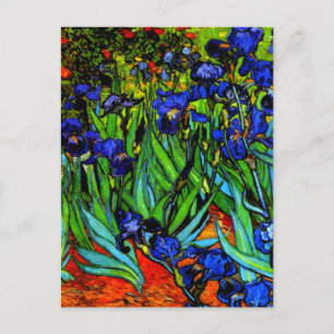 Irises, Van Gogh's famous floral painting Postcard