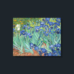 Irises | Vincent van Gogh Canvas Print<br><div class="desc">Irises (1889) by Dutch post-impressionist artist Vincent Van Gogh. Original landscape painting is an oil on canvas showing a garden of blooming iris flowers. 

Use the design tools to add custom text or personalise the image.</div>