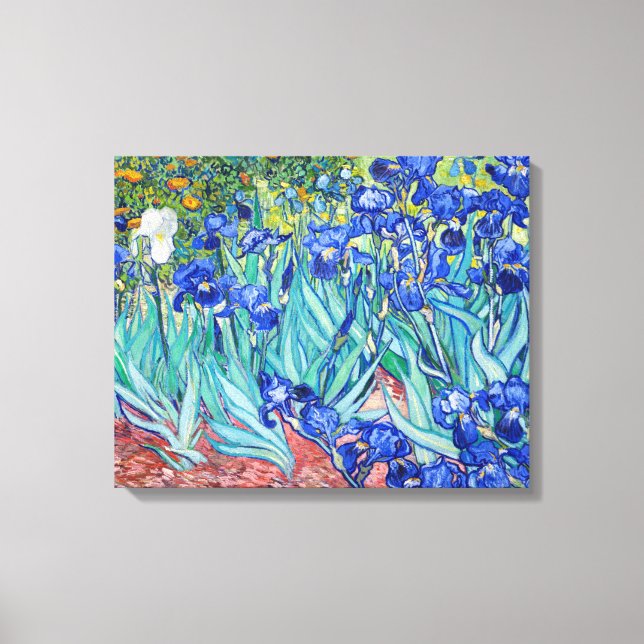 Irises  Vincent van Gogh Canvas Print (Front)