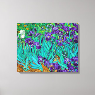 Irises, Vincent van Gogh Canvas Print