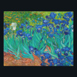Irises, Vincent van Gogh Faux Canvas Print<br><div class="desc">Vincent Willem van Gogh (30 March 1853 – 29 July 1890) was a Dutch post-impressionist painter who is among the most famous and influential figures in the history of Western art. In just over a decade, he created about 2, 100 artworks, including around 860 oil paintings, most of which date...</div>