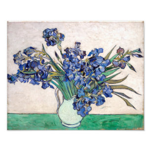 Irises Vincent van Gogh Photo Print
