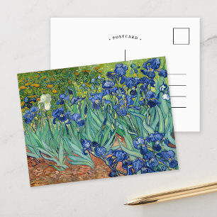 Irises Vincent van Gogh Postcard
