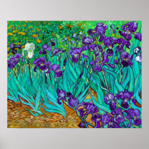 Irises, Vincent van Gogh Poster