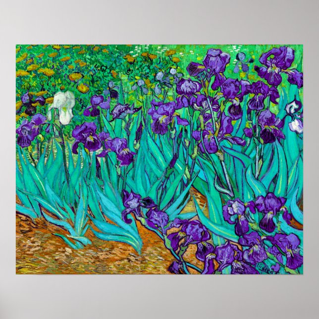 Irises, Vincent van Gogh Poster (Front)