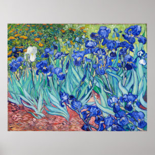 Irises  Vincent van Gogh Poster