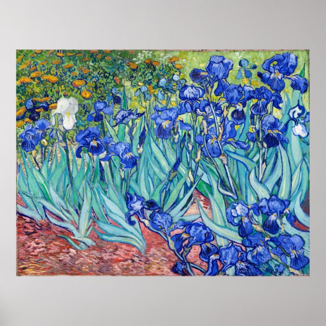 Irises  Vincent van Gogh Poster (Front)
