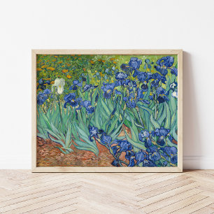 Irises Vincent Van Gogh Poster