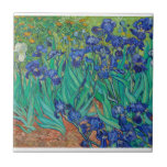 Irises Vincent Van Gogh Tile<br><div class="desc">Irises Vincent Van Gogh Ceramic tile is one of the most popular flooring materials used in residential and commercial spaces. Its durability, affordability and variety of colours and textures make it a great choice for creating a unique look in any space. With proper installation and care, ceramic tile can last...</div>
