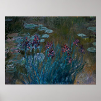 Irises & Water Lilies Poster