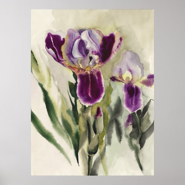 Irises watercolor painting poster (Front)
