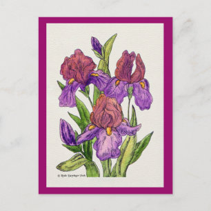Irises Watercolor Postcard
