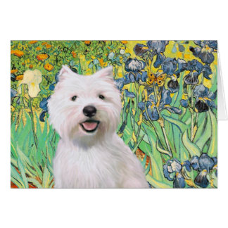 Irises - Westie 2
