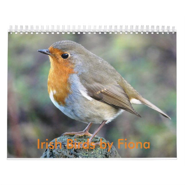 Irish birds calendar (Cover)