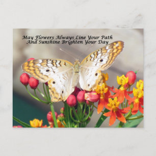 Irish Blessing Postcard (White Peacock)