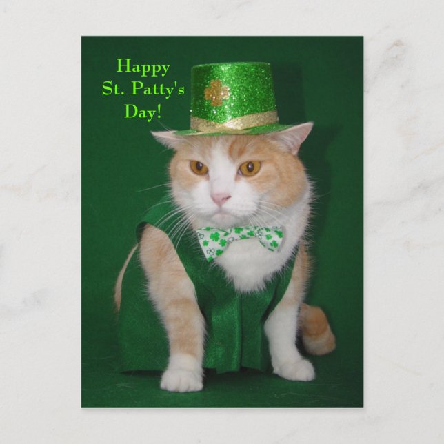 Irish Bubba Kitty Postcard (Front)