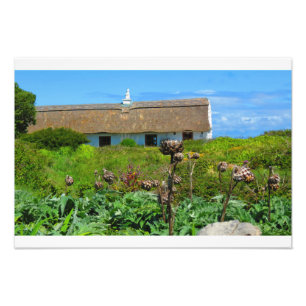 Irish Cottage Home Photo Print