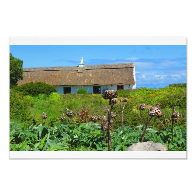 Irish Cottage Home Photo Print (Front)