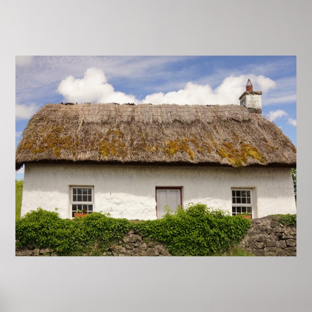 Irish Cottage Poster (Front)