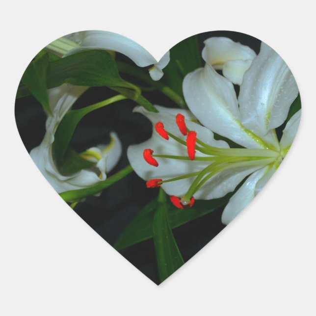 Irish Design-Brass and Flower Collection Heart Sticker (Front)