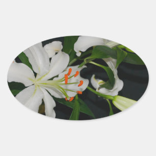 Irish Design-Brass and Flower Collection Oval Sticker