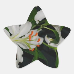 Irish Design-Brass and Flower Collection Star Sticker