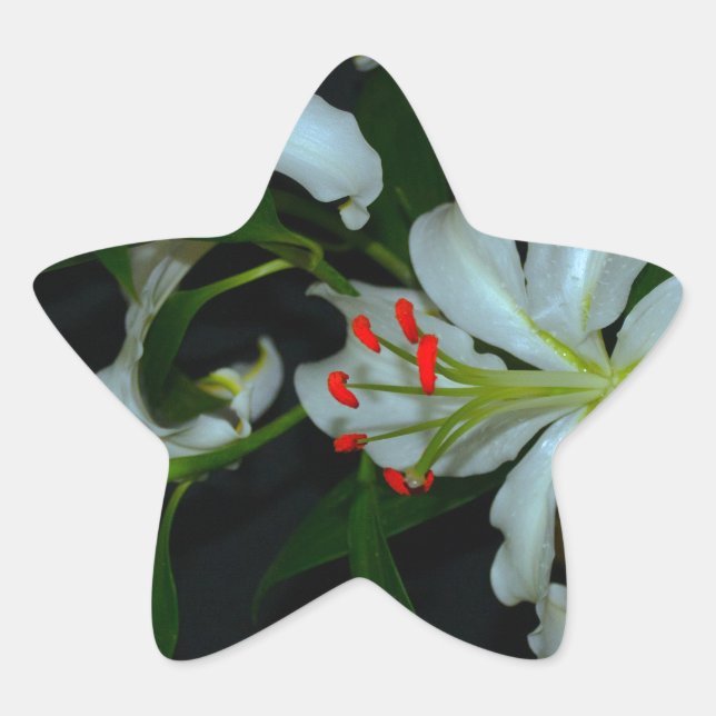 Irish Design-Brass and Flower Collection Star Sticker (Front)