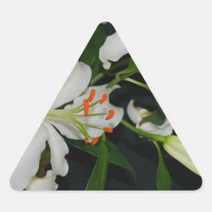 Irish Design-Brass and Flower Collection Triangle Sticker
