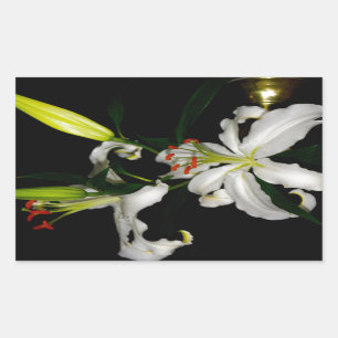 Irish Design-The Flower Collection Rectangular Sticker