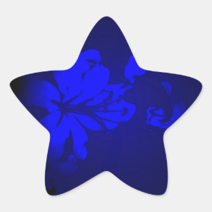 Irish Design-The Flower Collection Star Sticker