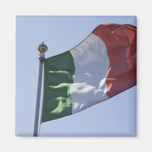 Irish Flag Magnet