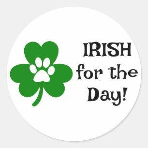 Irish for the Day ☘️🍻 Classic Round Sticker