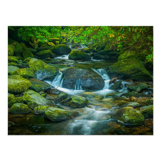 Irish Forest Stream – Emerald Woodland Photo Print (Front)