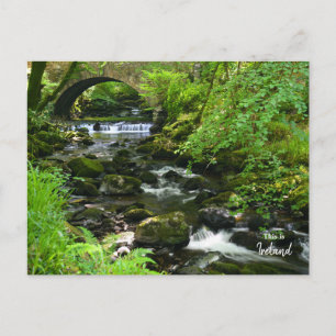 Irish Green- Ireland Postcard