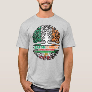 Irish Grown, Iranian Roots – Lion and Sun T-Shirt