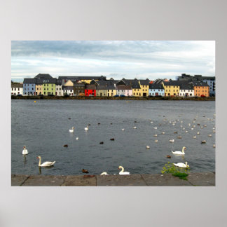Irish Houses Poster