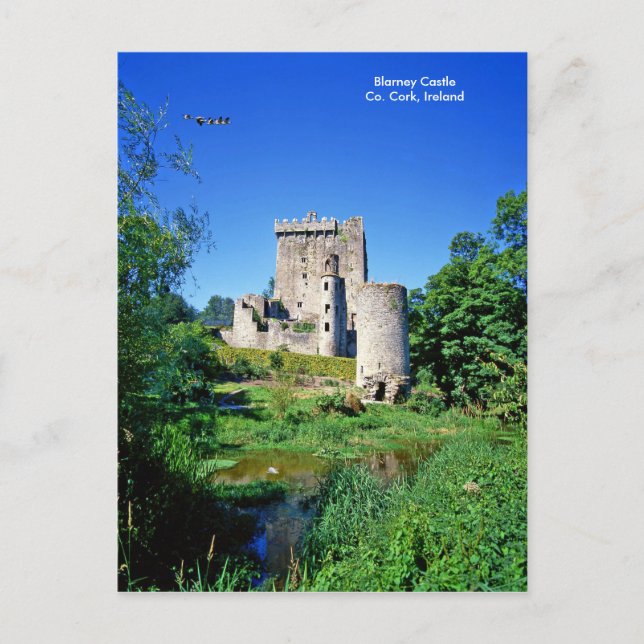 Irish image for postcard (Front)