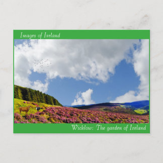 Irish image for postcard