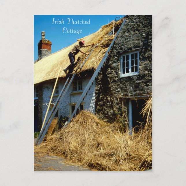 Irish Images postcard (Front)