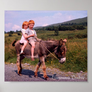 Irish Images poster
