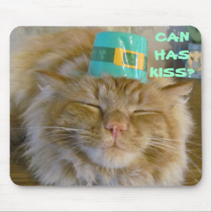 Irish kitty wants kiss mouse pad