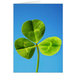 Irish luck