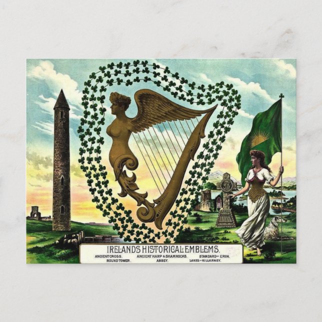 Irish Pride Ireland's Emblems golden harp clovers Postcard (Front)