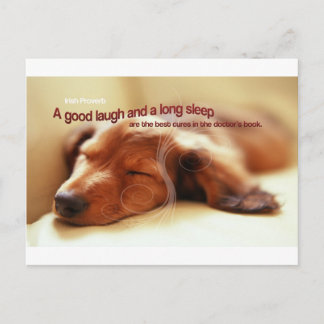 Irish Proverb and Sleeping Dog Postcard