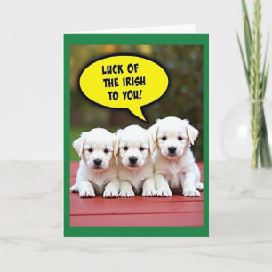 Irish Puppy Luck To You Card