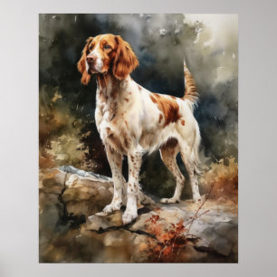 Irish Red And White Setter Dog Art Print Poster