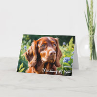Irish Red Setter Dog Lover Thinking of You