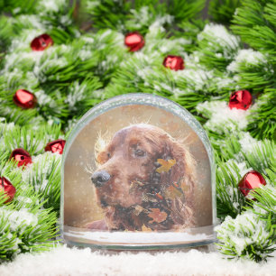 Irish Red Setter, Irish Setter Snowglobe