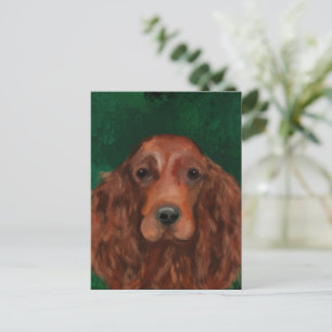 Irish Red Setter Postcard