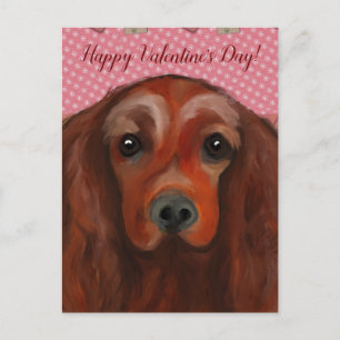 Irish Red Setter Postcard